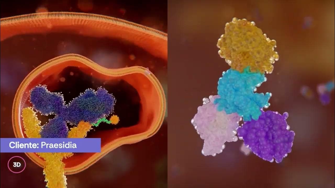 Contenido para Eventos & Conferencias