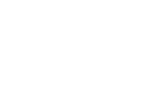 nestle nestle